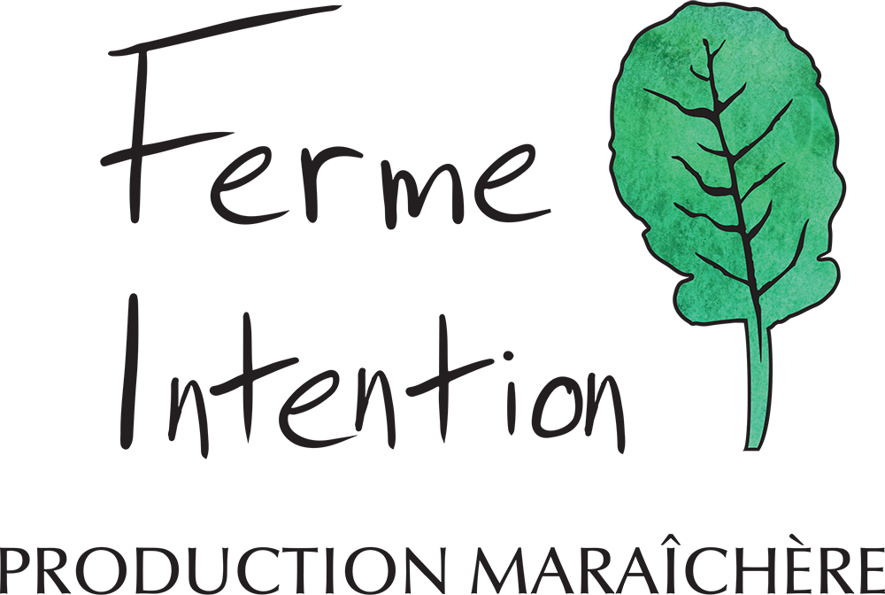 logo-noir-vert-2022-production-maraichere-ferme-intention